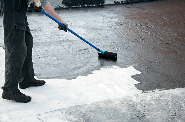 Best Concrete Removal and Replacement in Bradfordville, FL